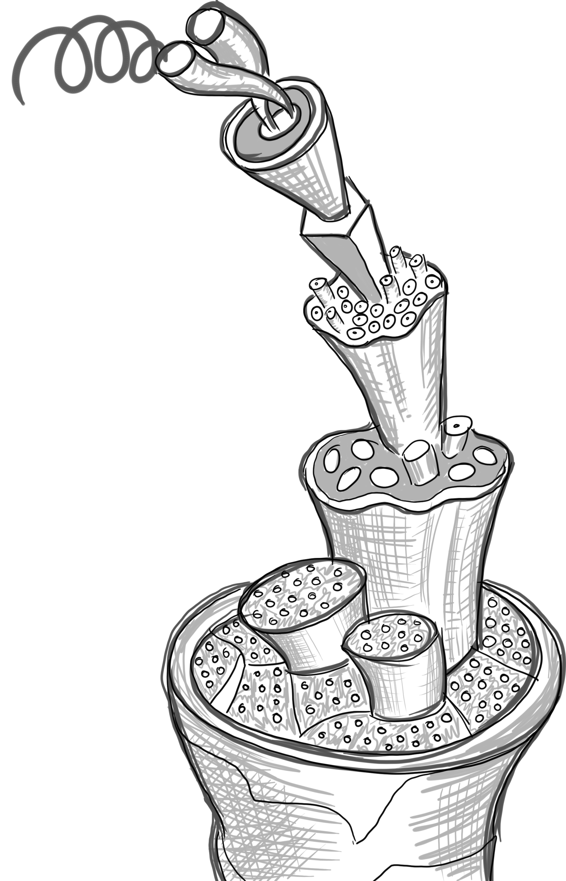 The structure of wool fibres